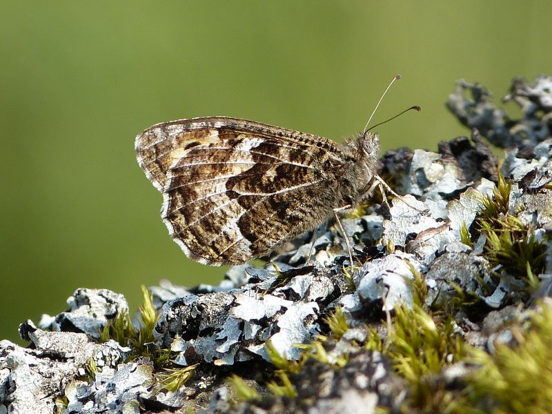 Ockcfqs7uv2nteeft9ik