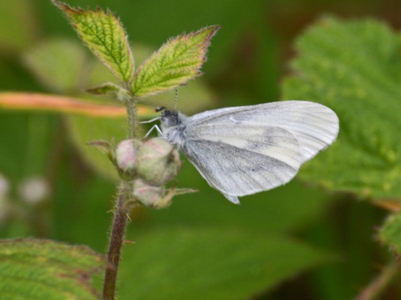 P2duqziorpje6ghpt8nw