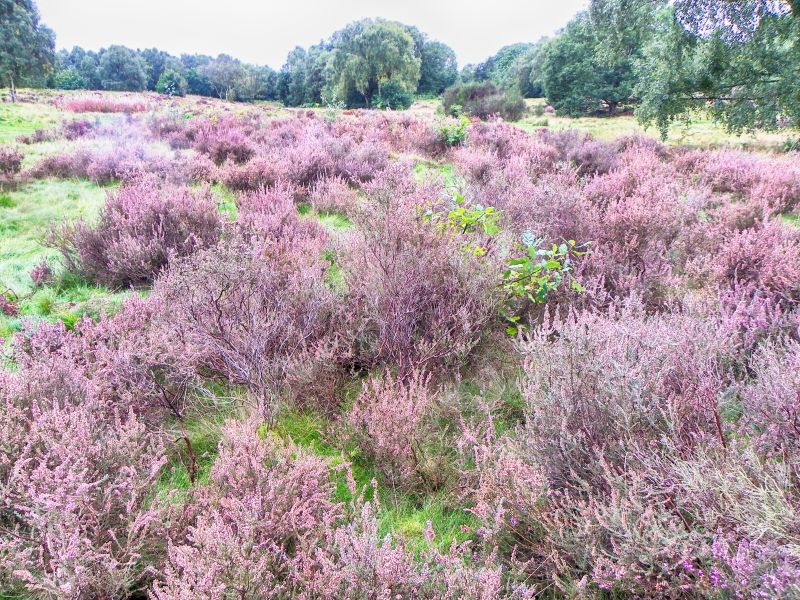 Phzkwelsmfehjgsxo3bw