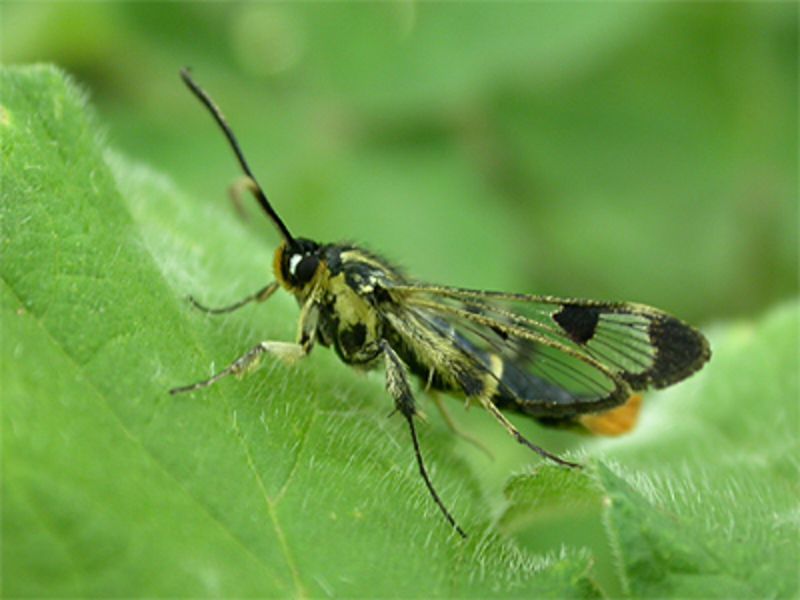 Q9jkv6fdisygzdicnwf1