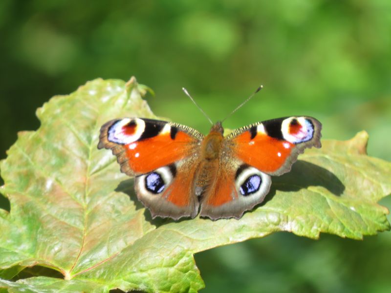 Rqj8ktdtmz689yi6ww6c