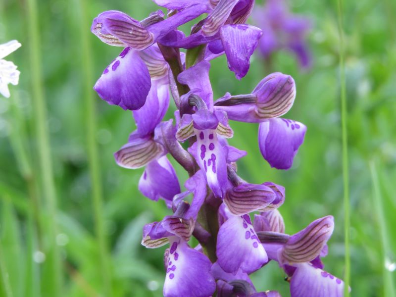 S8cch41y78pl50u1k39k