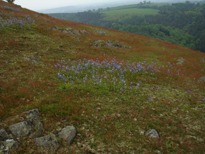 Tcz4qfhabpohfeqr36o1