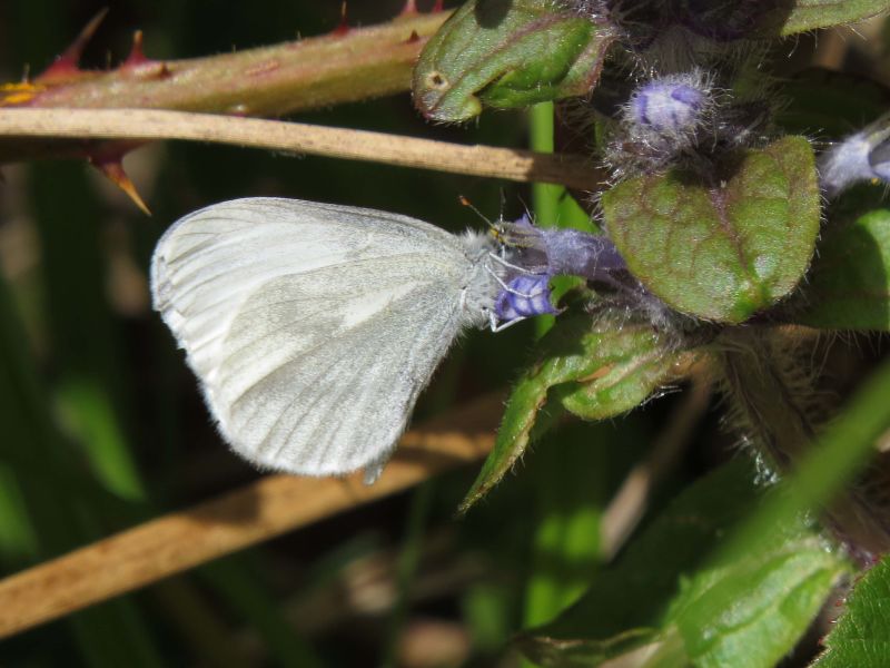 U8fi5ekp4c1bqd5jlssi