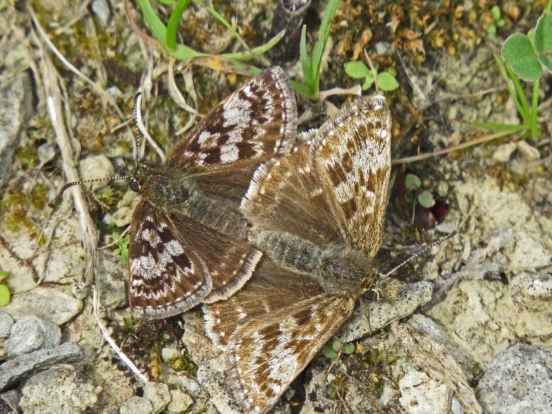 U8qe1wwmfdzaostyjkmg