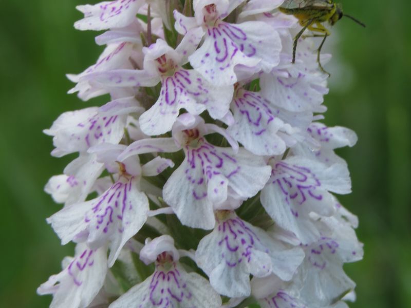 Uve4wh7dcjlxsuo3rhdy