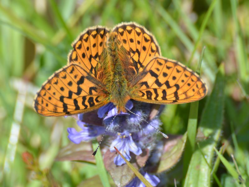 Uw36h7iyy3ltx4i6kuxm