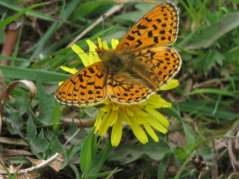 Vnpxjupqwtqmx2jikgiz