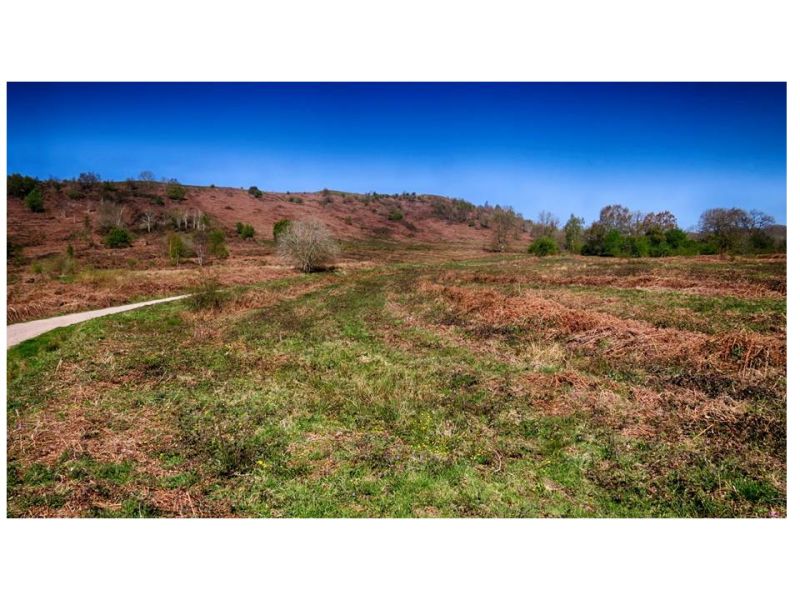 X2npgrfsdb5krwvhylu9