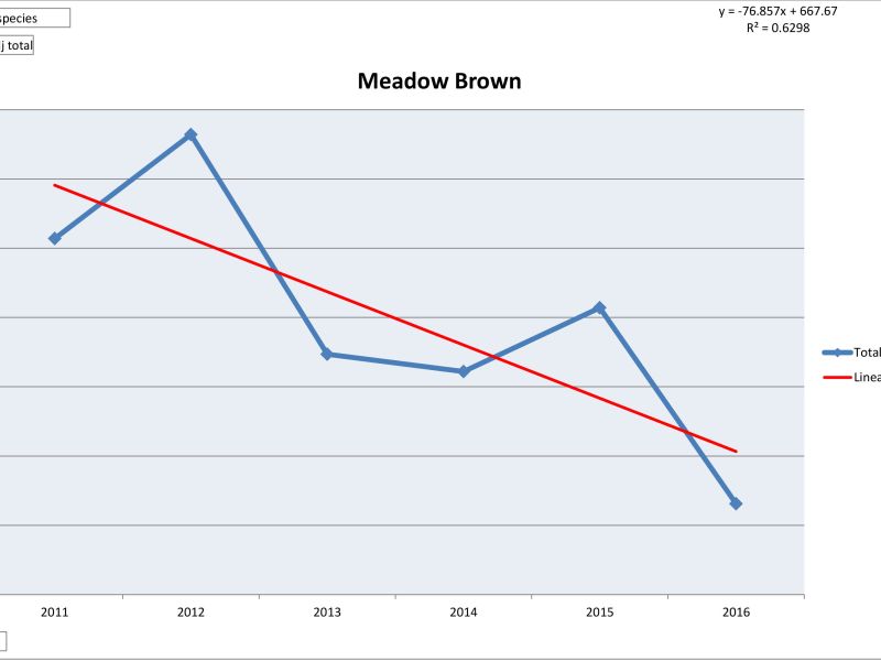 Xgdqyjg7sh0zyxk84sb6