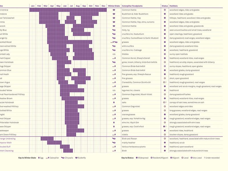 Xviyr21x4vaxwvlwlp7x