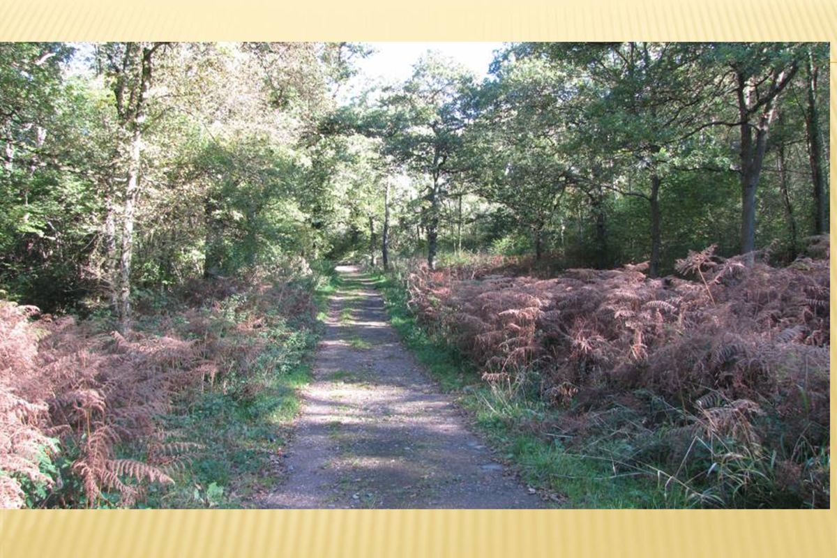 A7gfxxiz6tjjbe6qh029