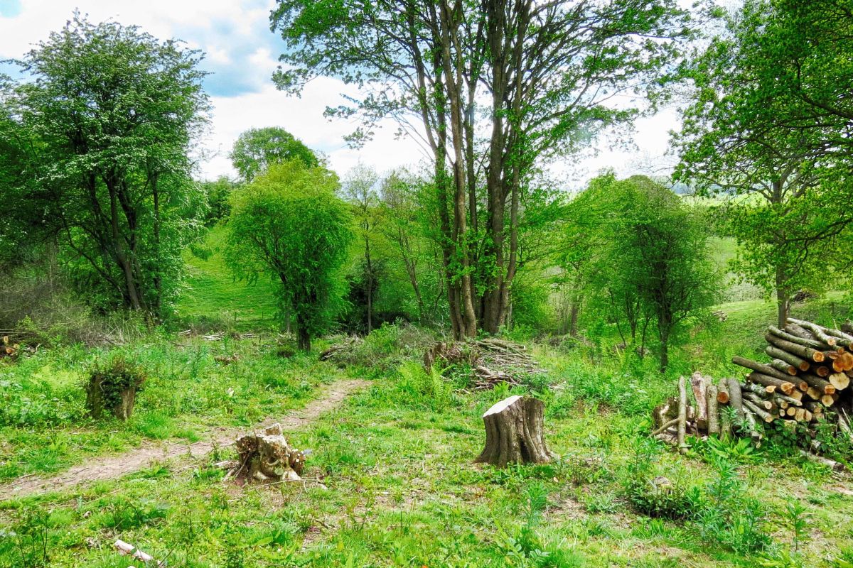 Baq6yqcejscajjmuru1q