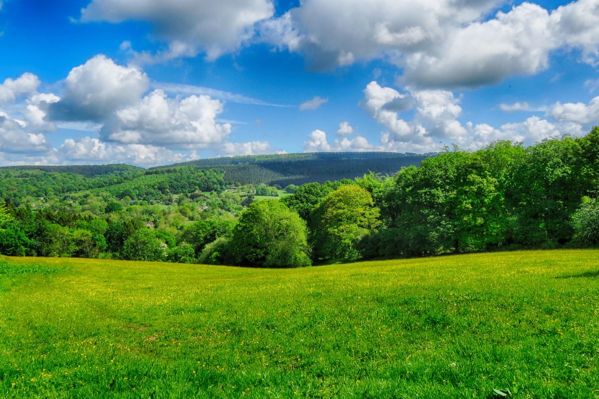 Cmkcmobvni0qoiaerwm6