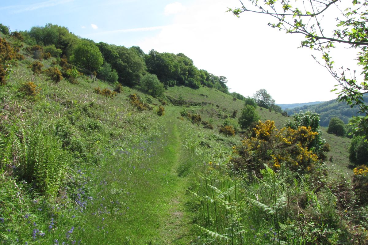 Cp4747lzoancvpfz6opj