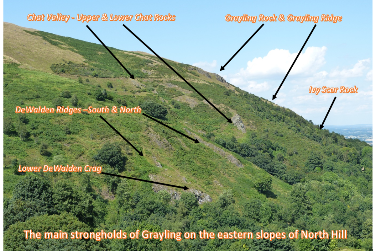 D3hoyefaqmwalet7dltc