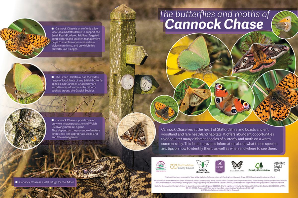 Daqojcdj7jayfcywxqyf