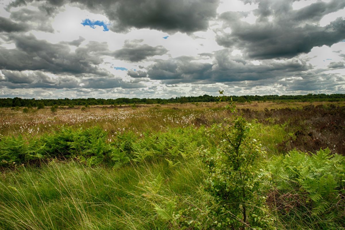 Dbdsxis1lipx4yvn0ugb