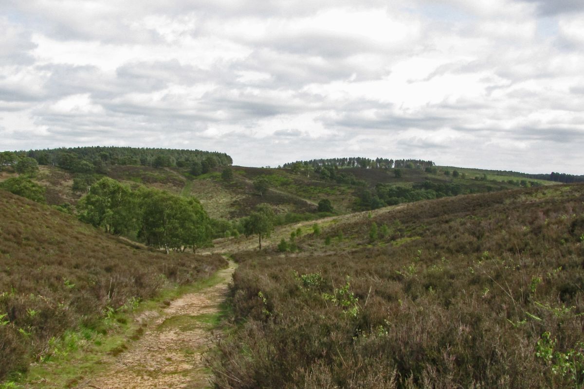 Deq9mwnlb502agljyrdy