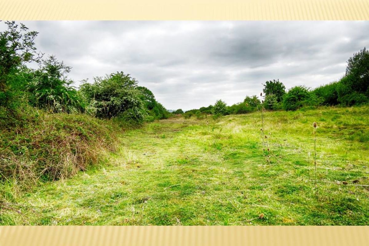 Fdodfbchy4ys8e1ltjv5