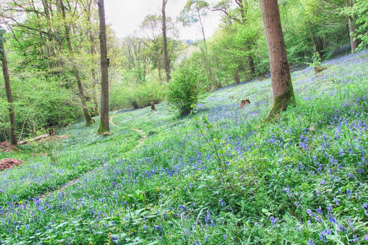 Fuiqyi2zw3cn59xxga6s