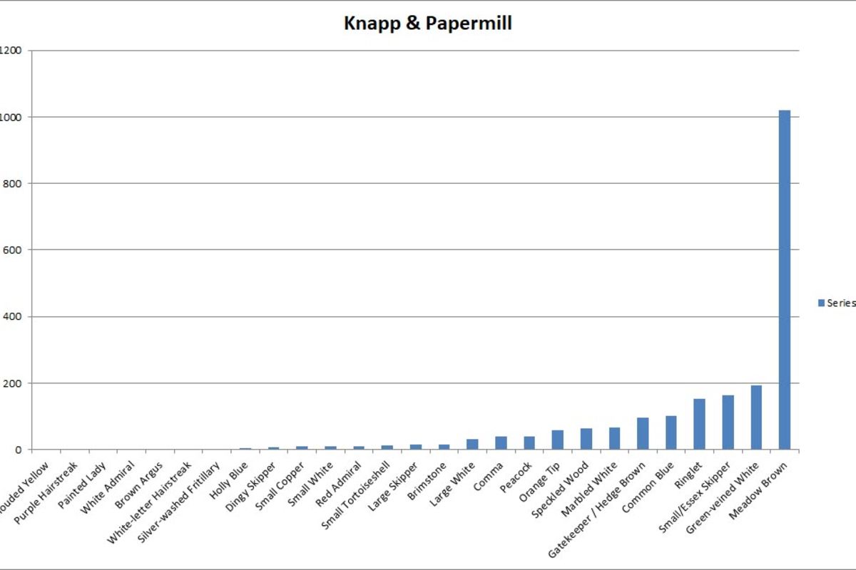 Fz7kz21mwueptx1wqyst