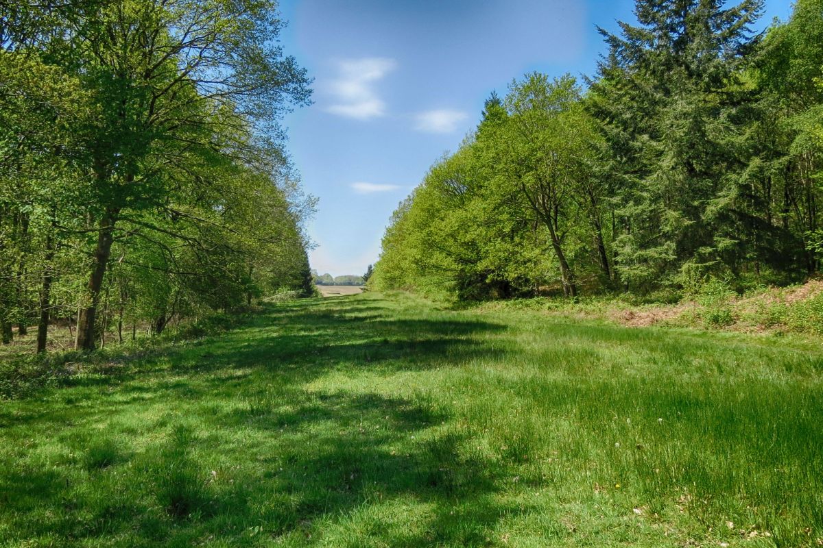 Gp7tpdbivnaigxigzcyl