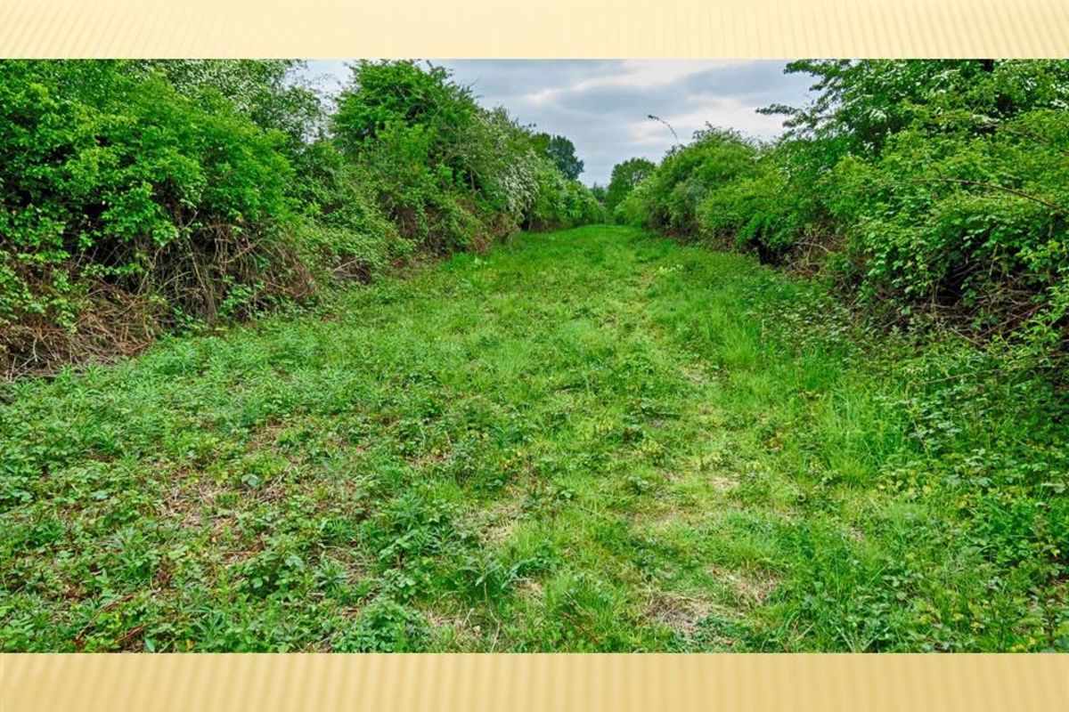 It8oti6b2vapvap7y8um