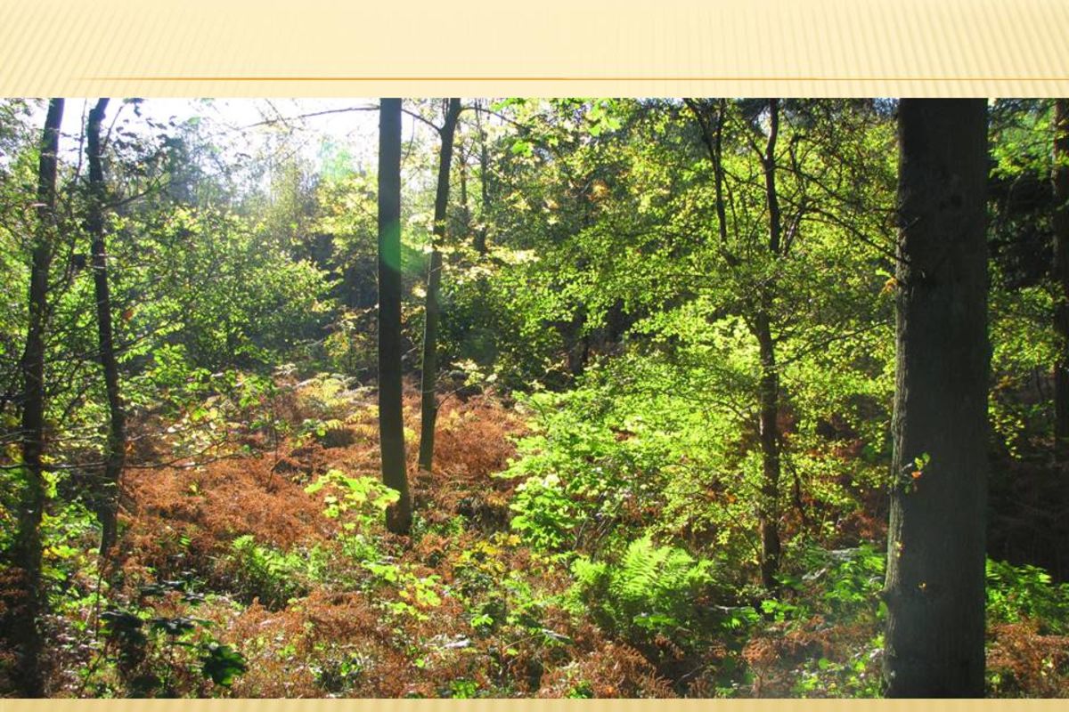 Iuzdcxwwmnopfugmfi2b