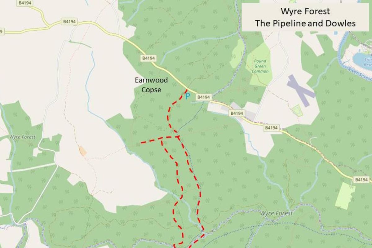 Ixuiop91fr6l1ddlxlkb