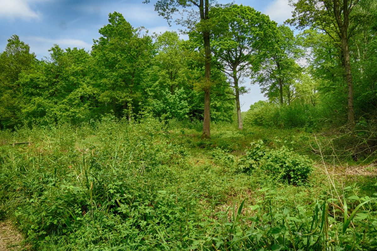 Jfdfhfvxujjim3jiexl4