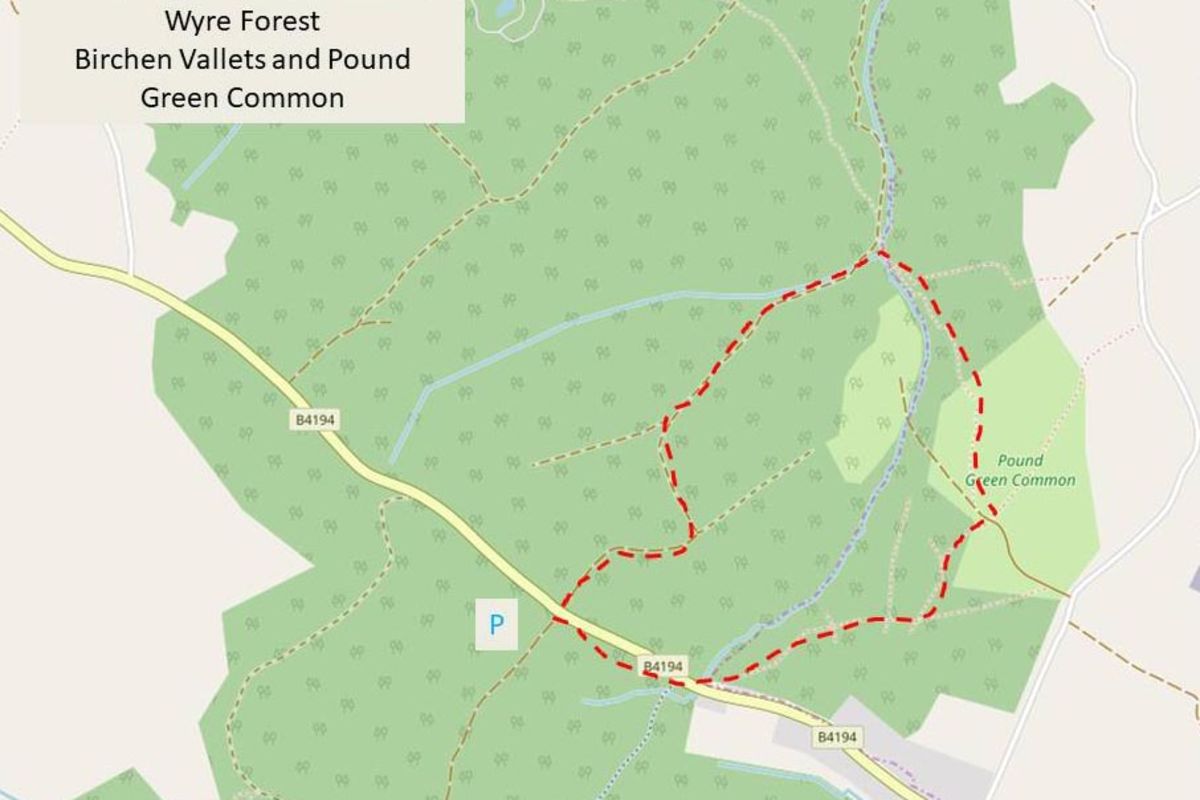 Kexrw9ey3htfixqjbuca