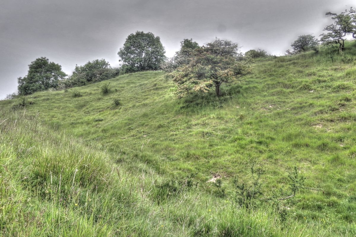 Kfylwiay1cpa6ayhvo2c