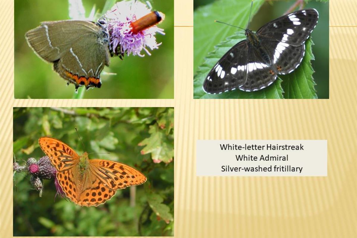 L2zh065uhfqvwvpfupb0