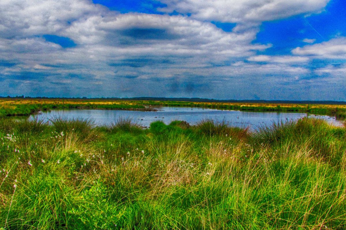 Ldfet3yinsg5rxe32po1