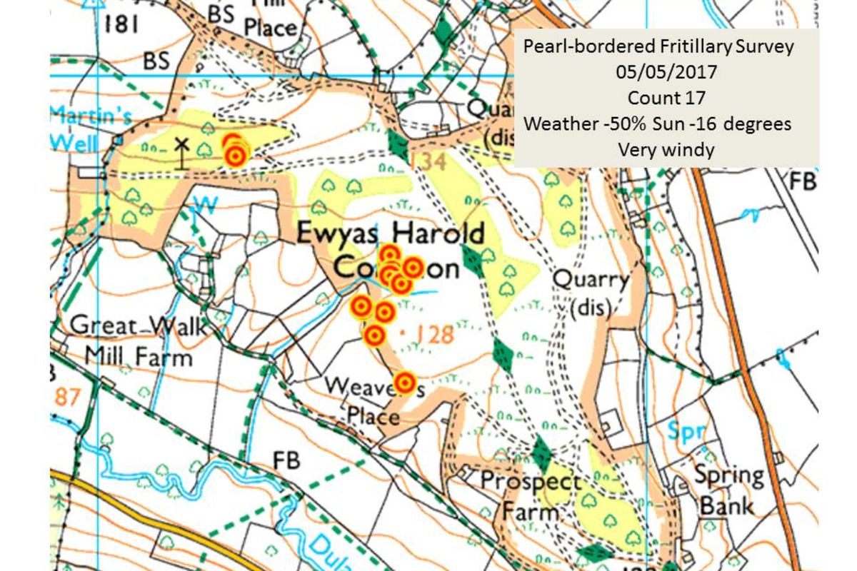 Lhzkyime8veto42grsnr