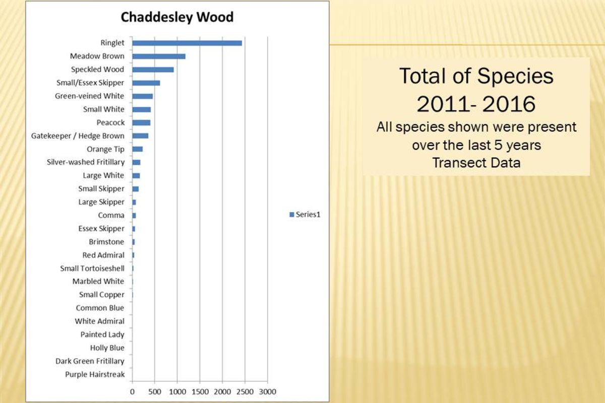 Li1dxzme0vq6jfa6gaft