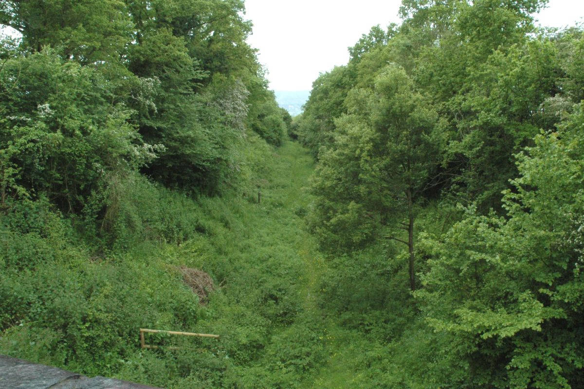 Ljljyx3qkhiqog7in5xa