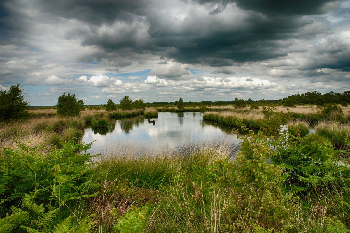 Mitc1919rjqp8zkei9jz