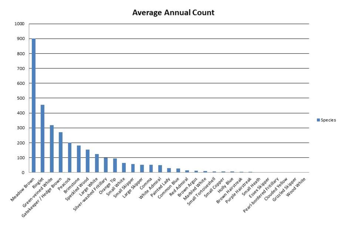 Miyhgudezxvizr4hnda0