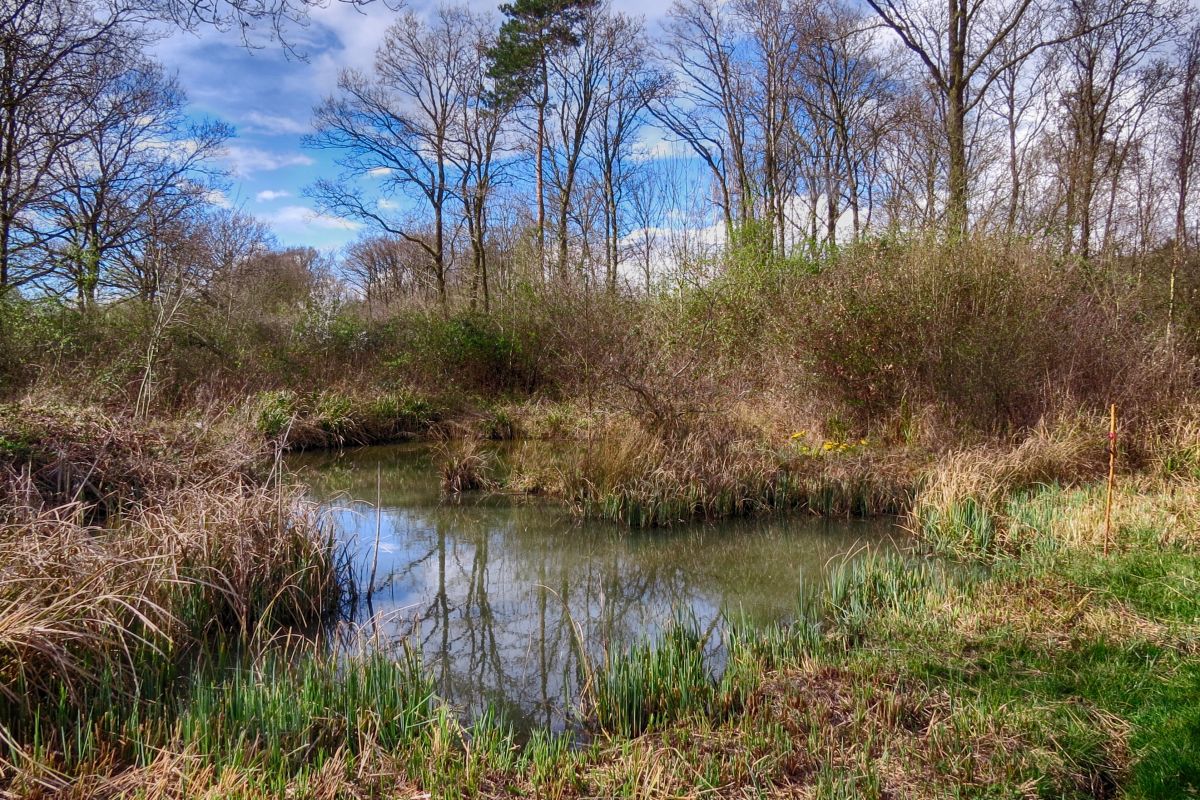 Mjl2teukt2ylvem68uzd