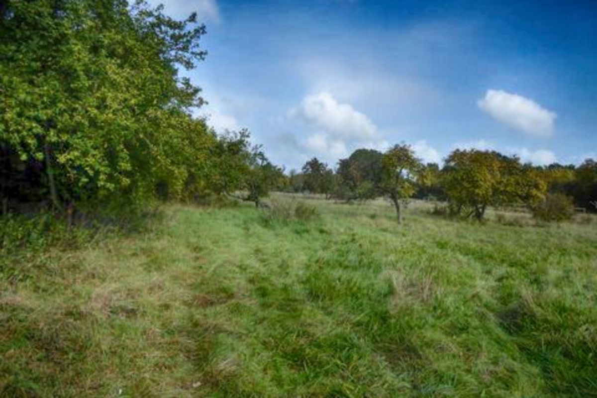 Mvoqixhr2ldt1fftvwys