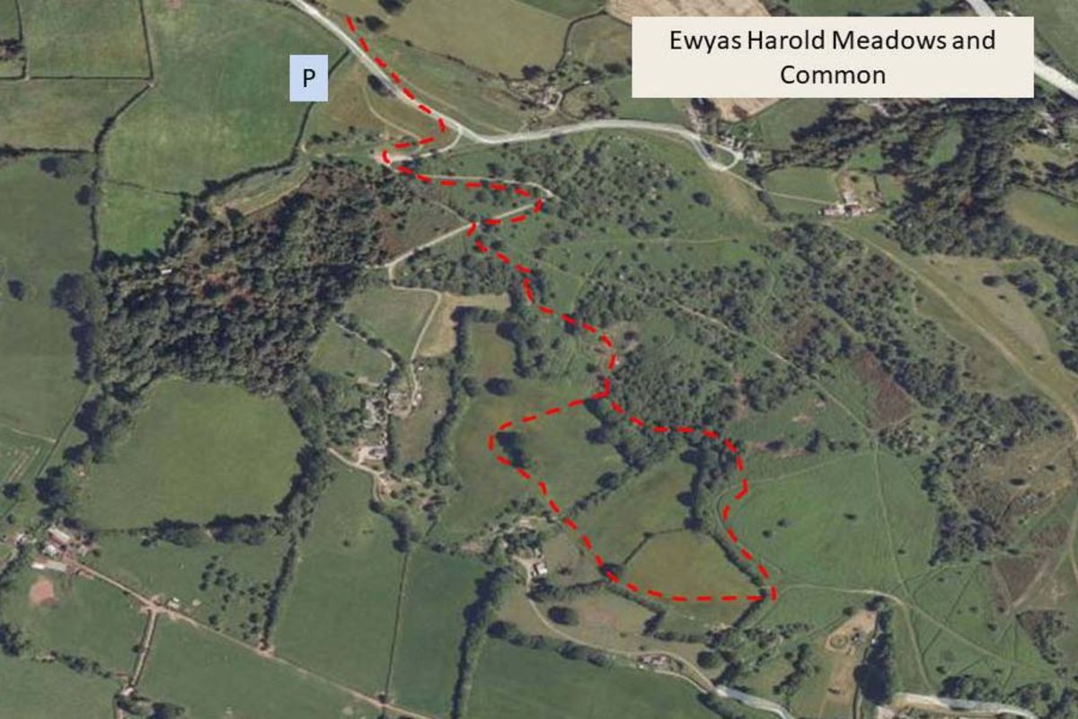 Myvojfden5nufzewoopl