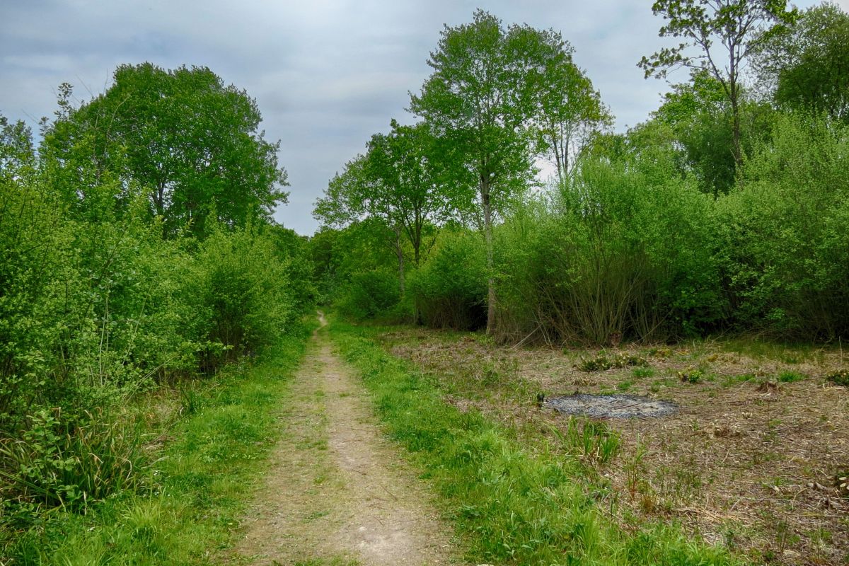 Nkimf2acynxqmqipvldt