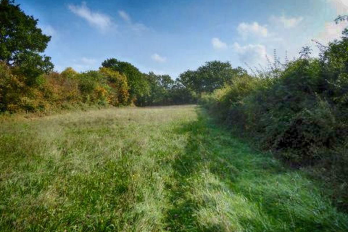 Nmyp8orjyc2mmg9smtk7