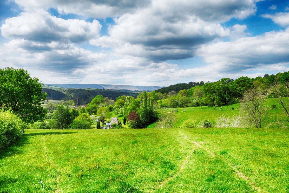 Odqehwrbytfhqqimfrgc