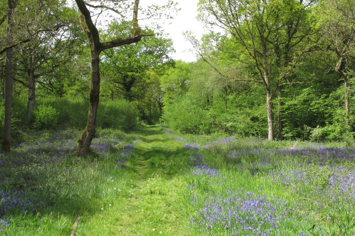 Ohrcsyr9zfjypq0omcqi