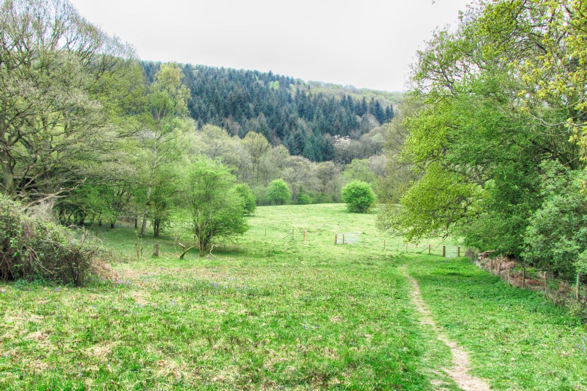 Pghwpvz0zdyopkw05f25