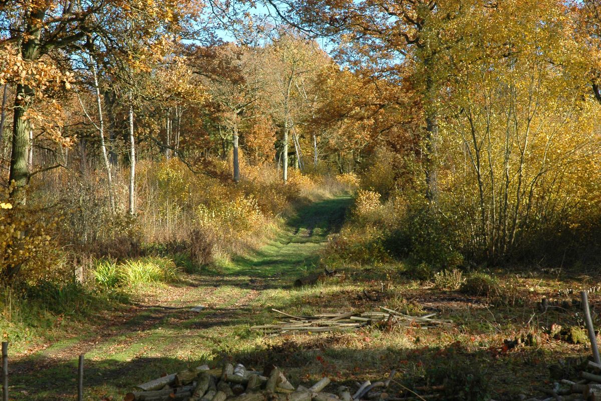 Qccjvc0afsigpy0fm7sl