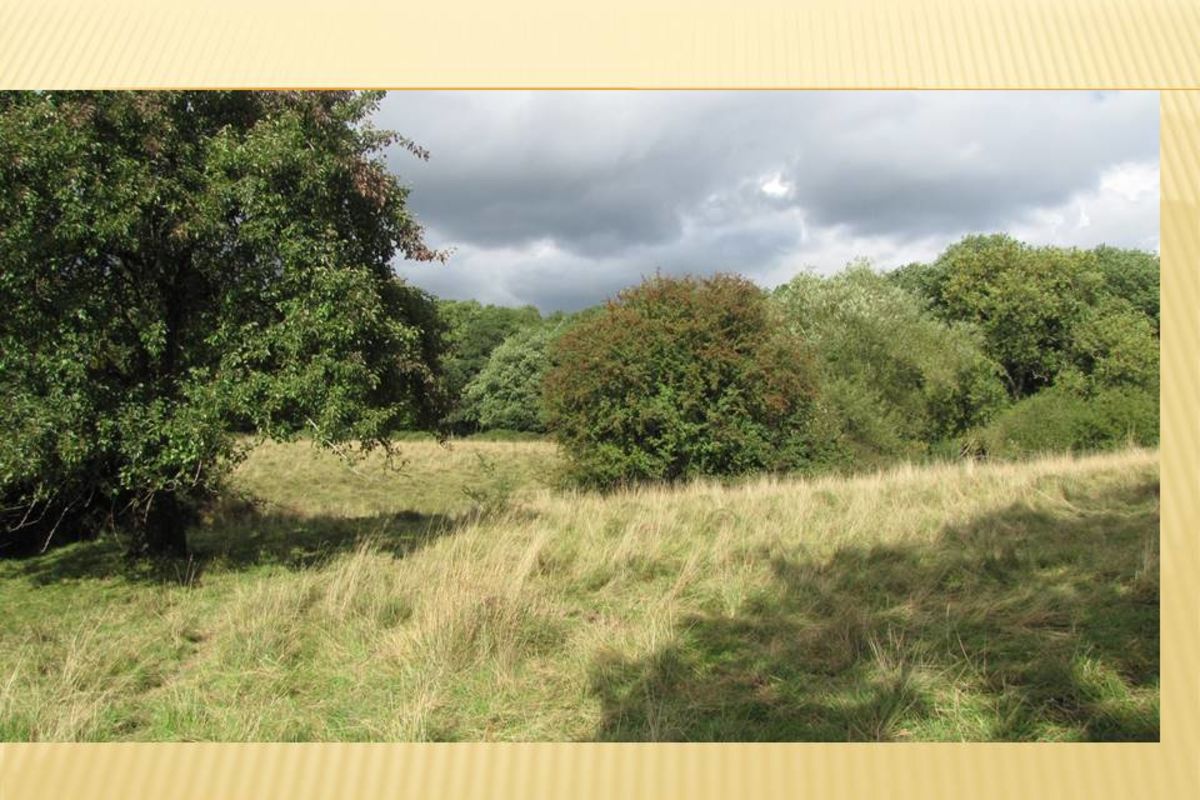 Qt2cjrqwhanikbsot1hj